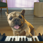 PET PIANO