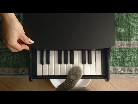 PET PIANO – Pet Piano