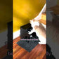 PET PIANO